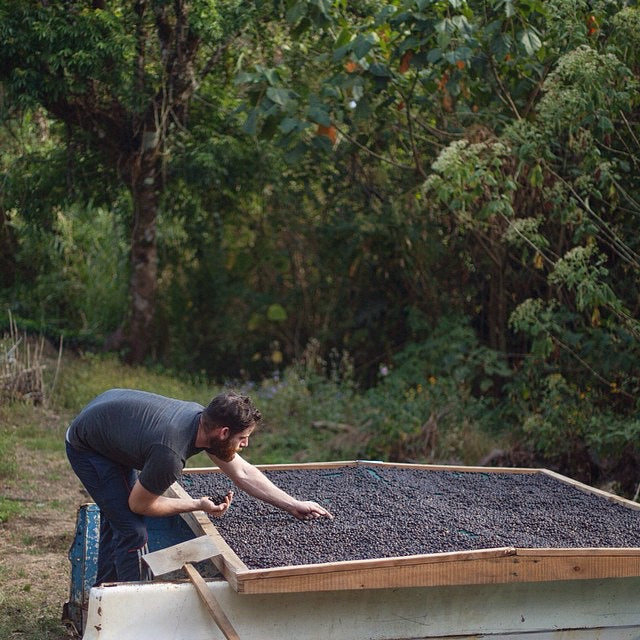 Finca El Indio, Costa Rica