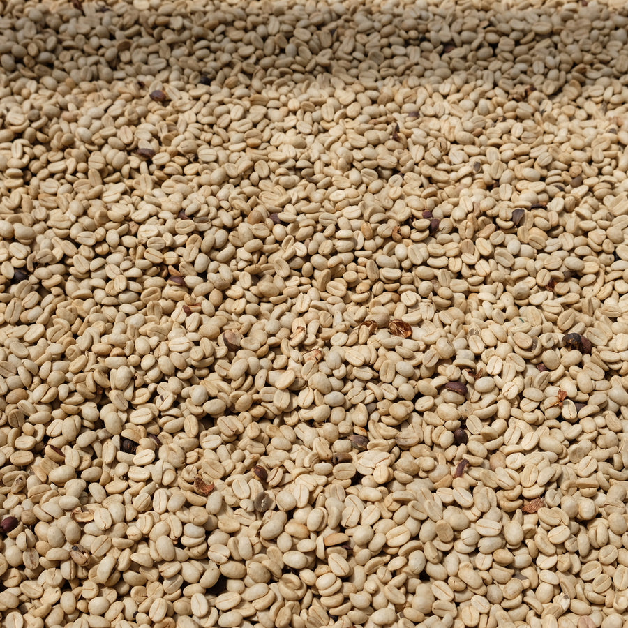 Yirgacheffe Melaku, Ethiopia